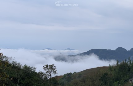 Cần bán 76.000m2 đất homestay Noong Luông, Mai Châu, Hòa Bình, giá rẻ hơn thị trường